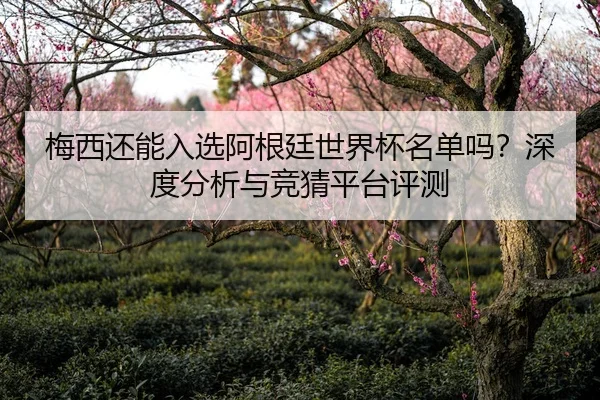 梅西还能入选阿根廷世界杯名单吗？深度分析与竞猜平台评测